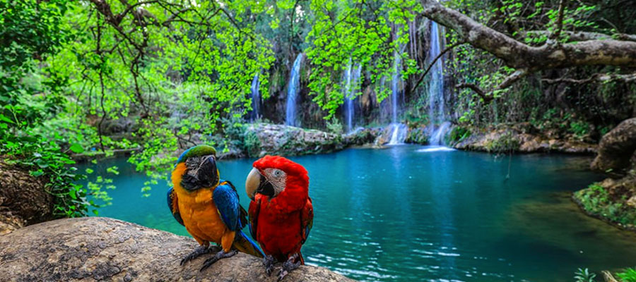 Antalya Waterfalls