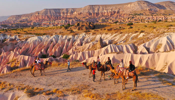 Camel Tours in Cappadocia