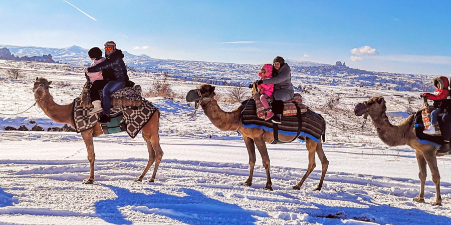 camel tours in winter