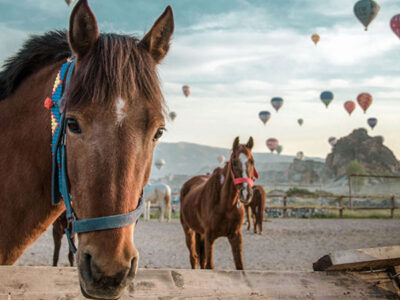 Horseback Riding Cappadocia
