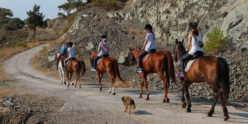 Horse Riding Tour Fethiye