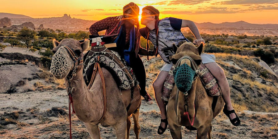 sunset camel